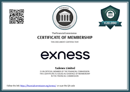 Exness Limited Review A Comprehensive Look at Trading Opportunities Exness Limited Review A Comprehensive Look at Trading Opportunities